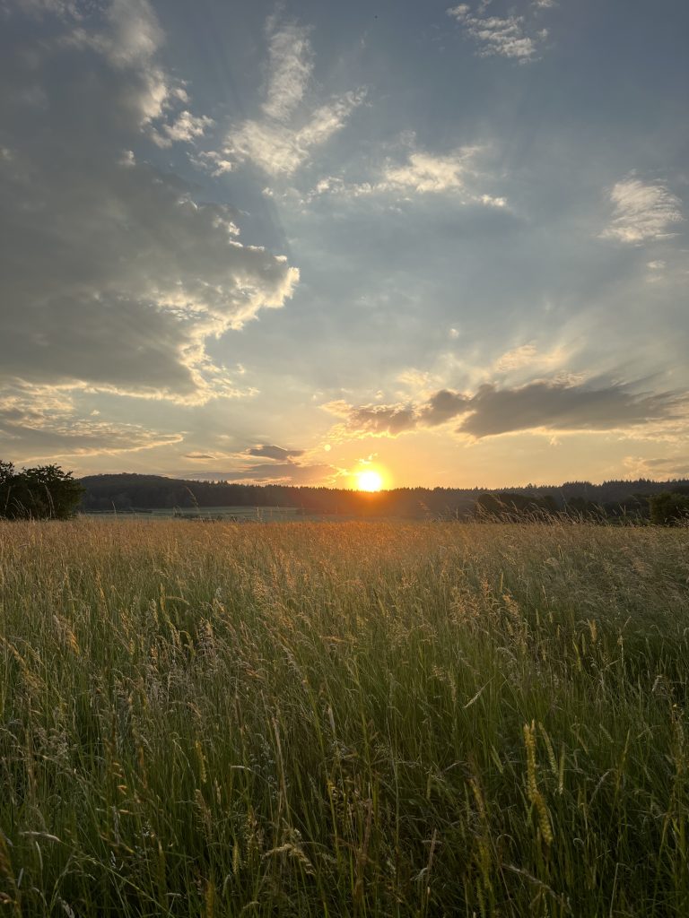 Ein Verein ist geboren