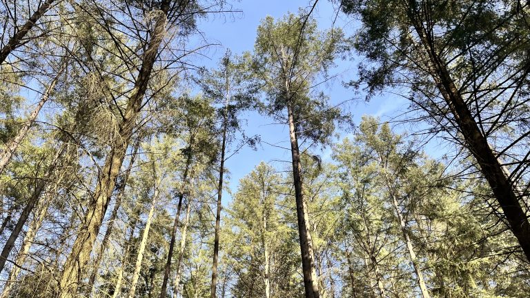 Historische Wanderung