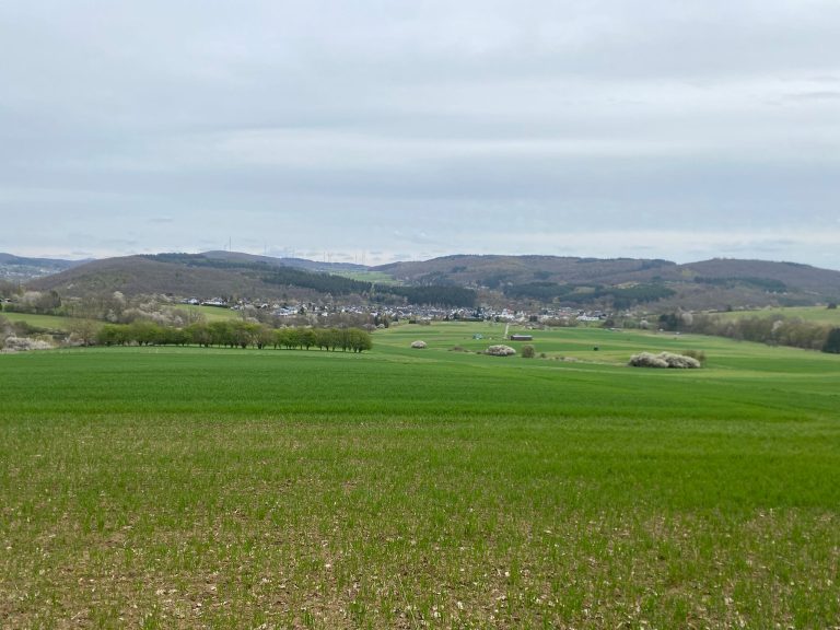 Fr&uuml;hjahrswanderung