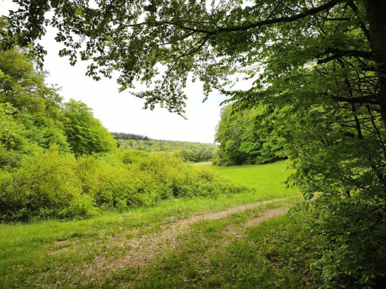 1. Mitgliederwanderung
