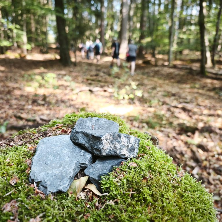 3. Mitgliederwanderung
